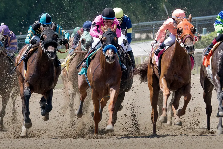 Whitney Stakes